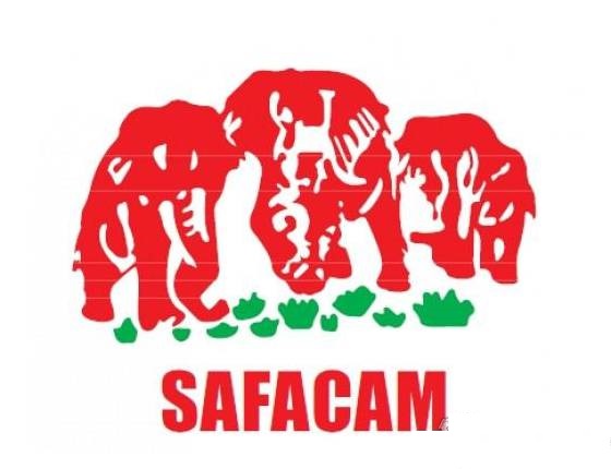 logo SAFACAM